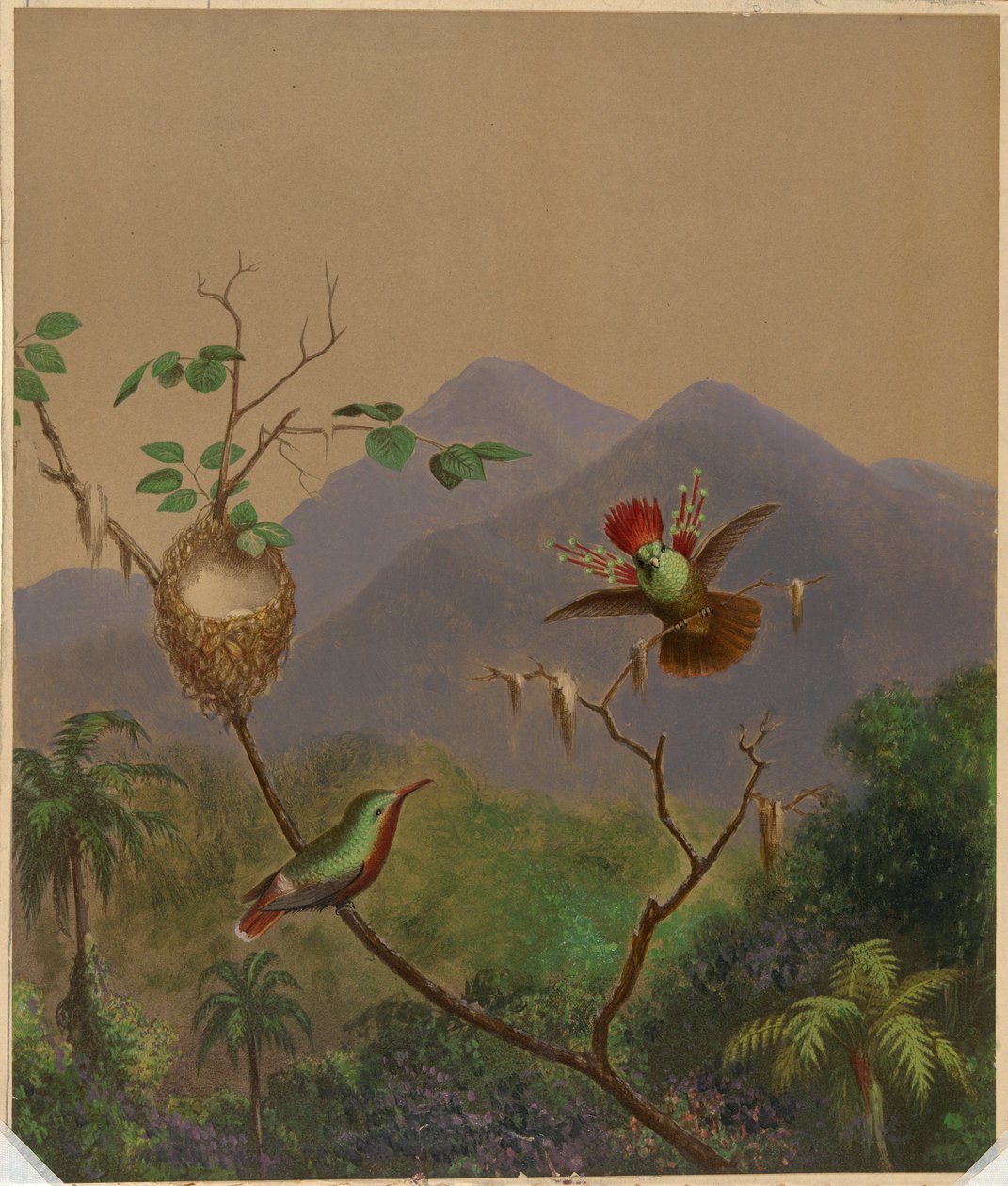 Brazilští kolibříci III od Martin Johnson Heade