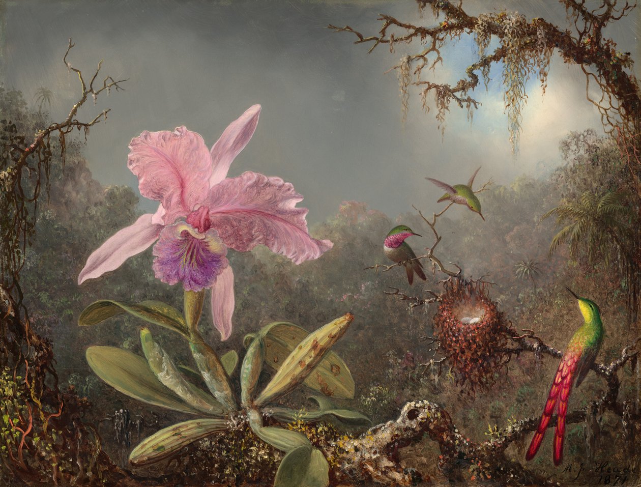 Orchidej Cattleya a tři kolibříci od Martin Johnson Heade