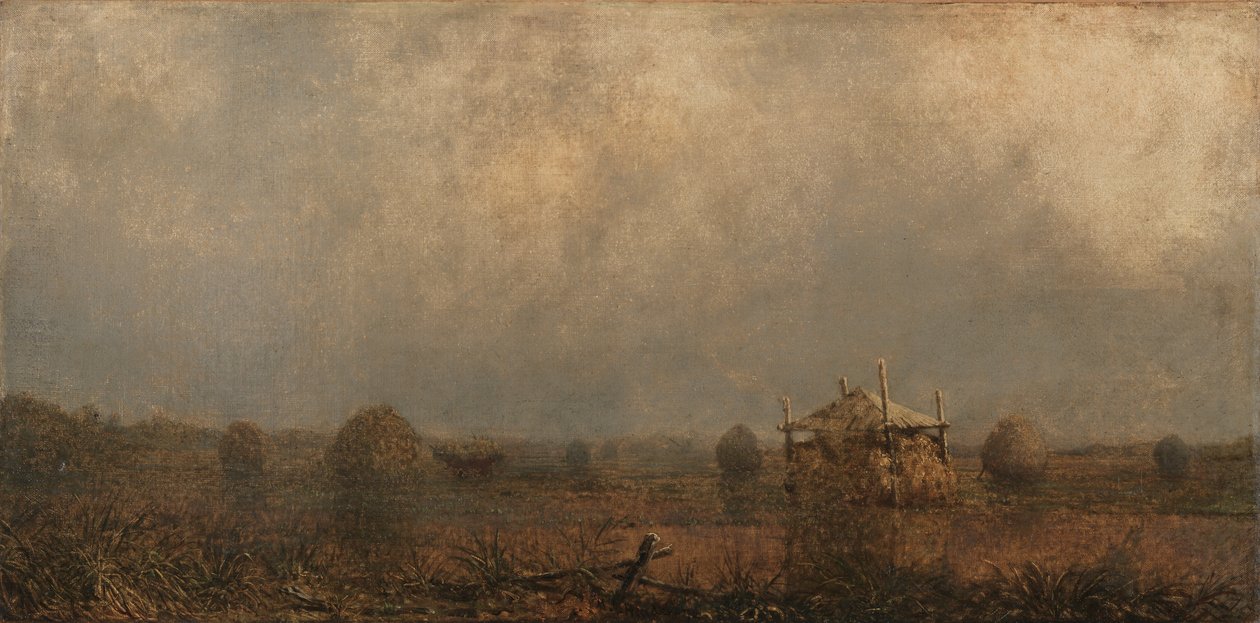 Příliv na močálech od Martin Johnson Heade