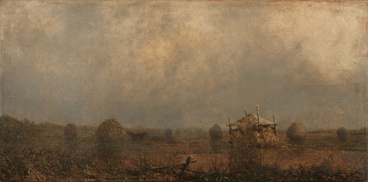 Příliv na močálech od Martin Johnson Heade