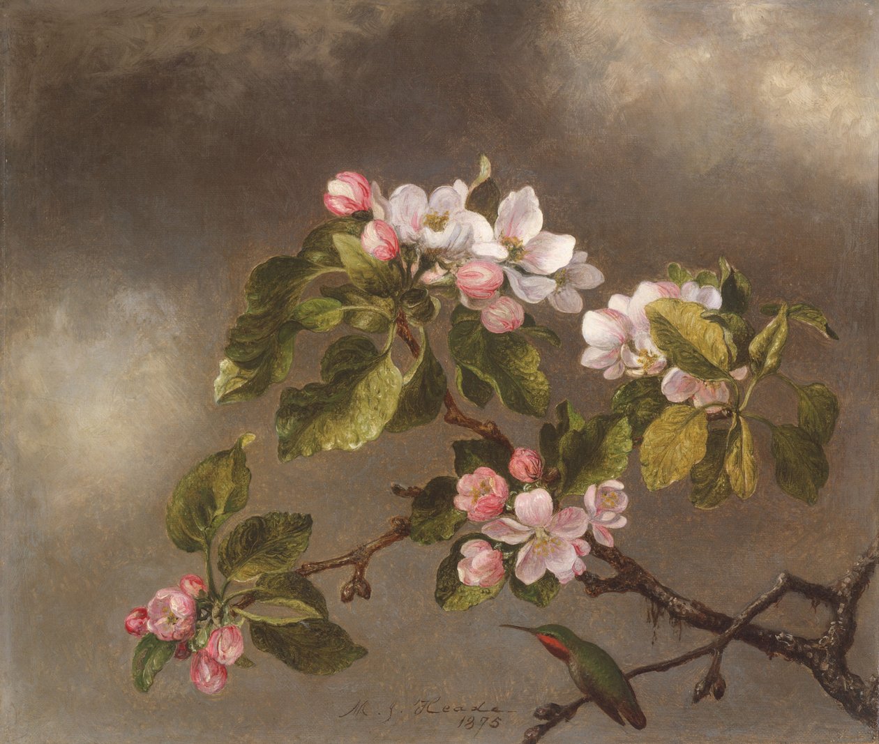 Kolibřík a květy jabloní, 1875 od Martin Johnson Heade