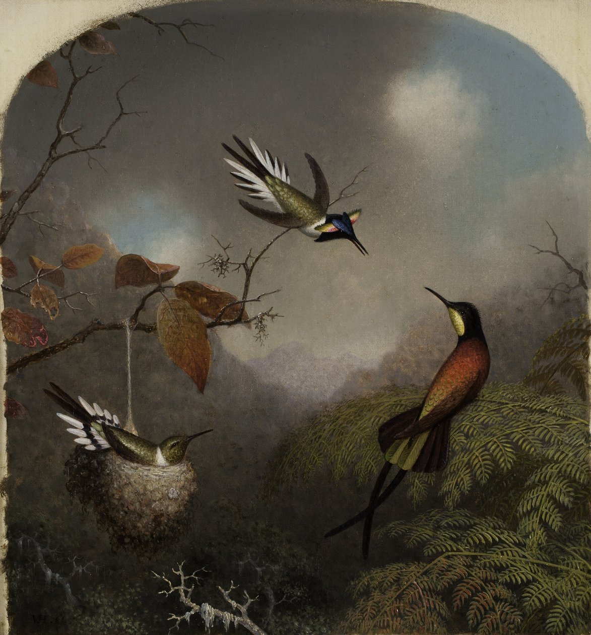Kolibříci: Dva Sungemové a karmínový topaz, 1866 od Martin Johnson Heade