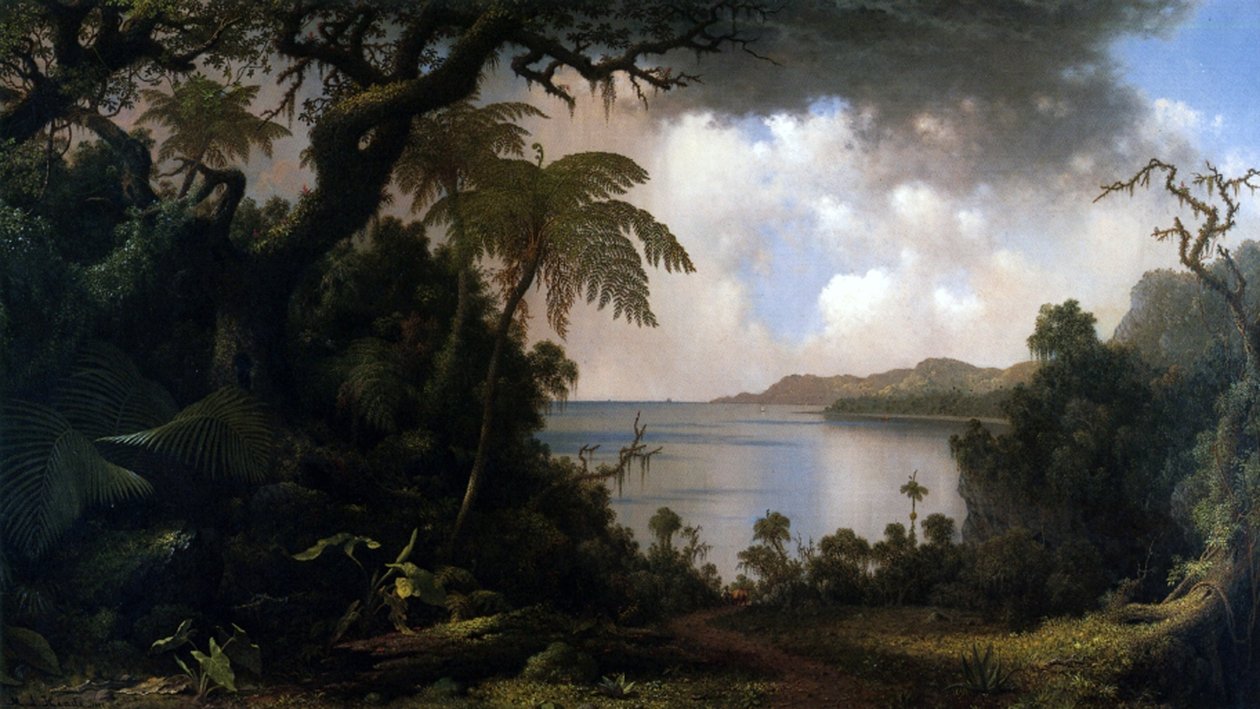 Jamajka, Pohled z Fern-Tree Walk, 1887 od Martin Johnson Heade