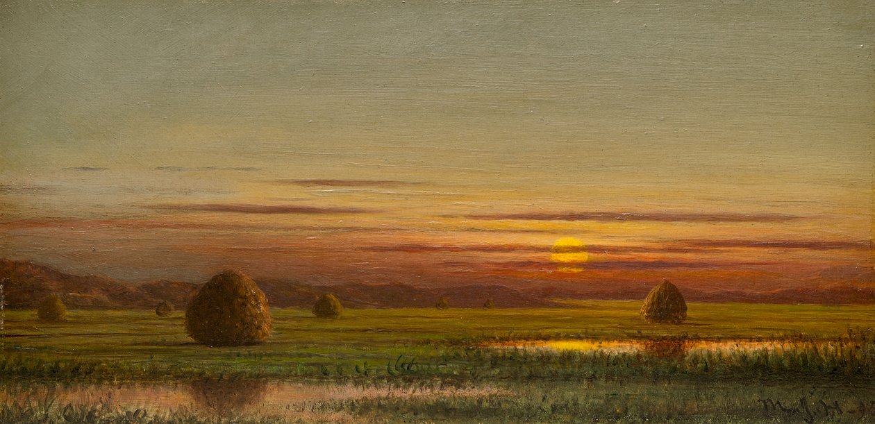 Bažiny od Martin Johnson Heade