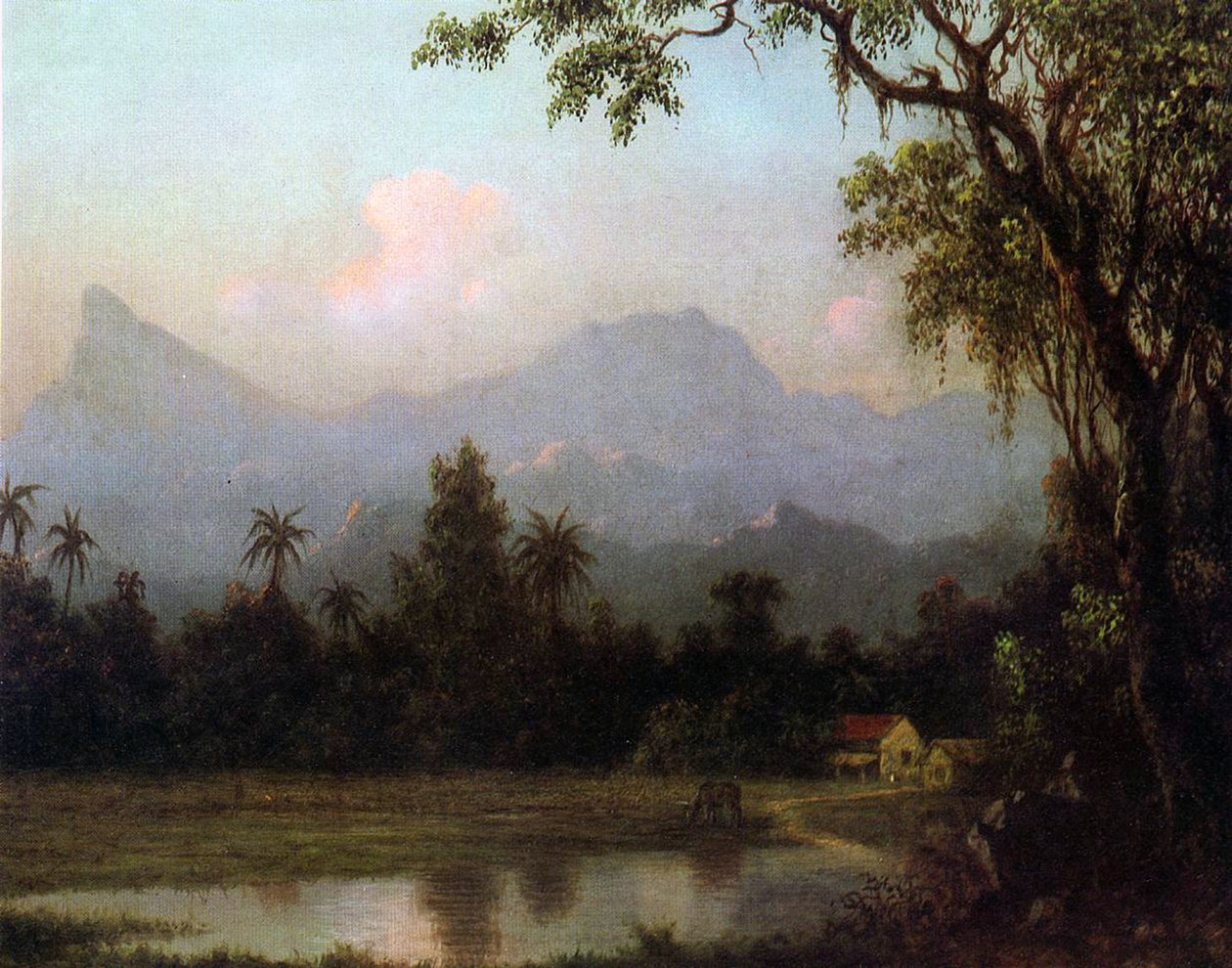 Rio de Janeiro, Brazílie, kolem roku 1865 od Martin Johnson Heade