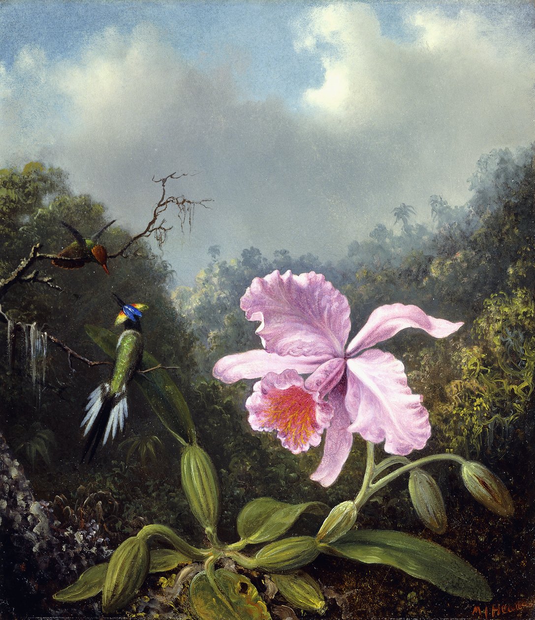 Zátiší s orchidejí a párem kolibříků, c.1890 od Martin Johnson Heade