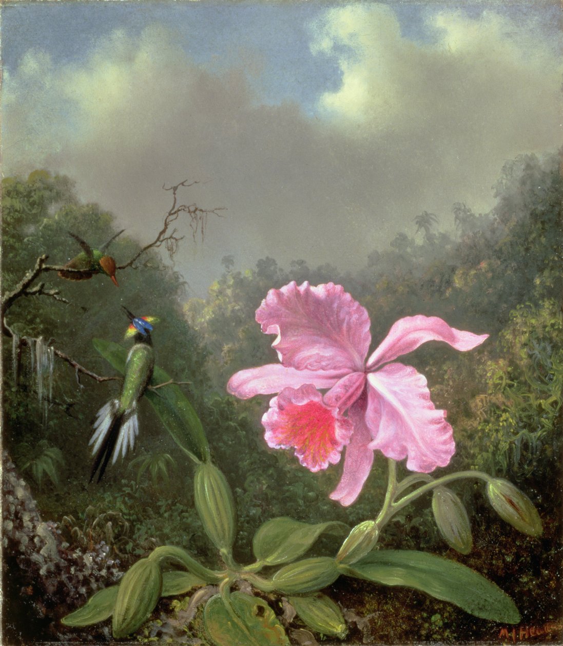 Zátiší s orchidejí a párem kolibříků, kolem 90. let 19. století (olej na plátně) od Martin Johnson Heade