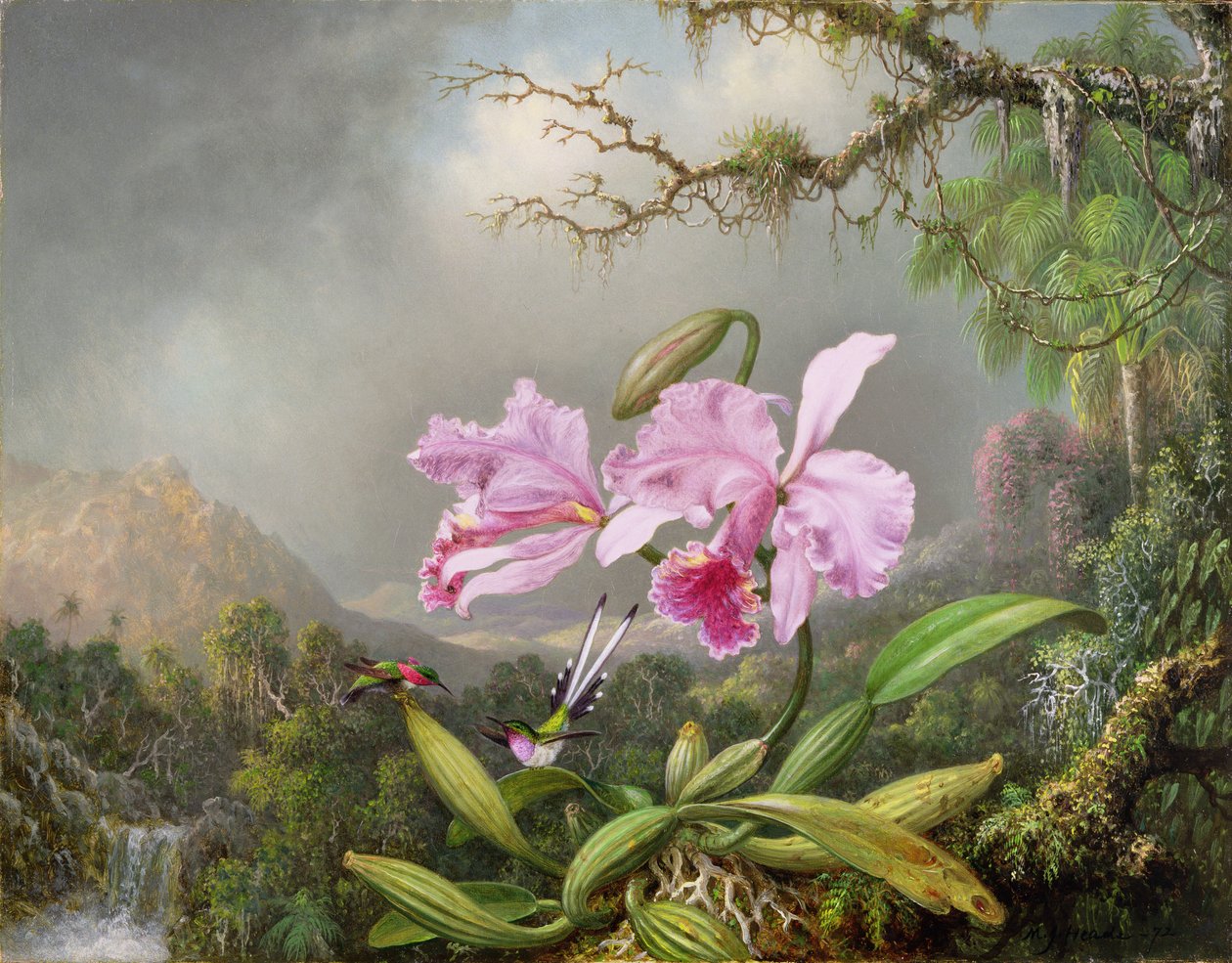 Studie orchideje, 1872 od Martin Johnson Heade