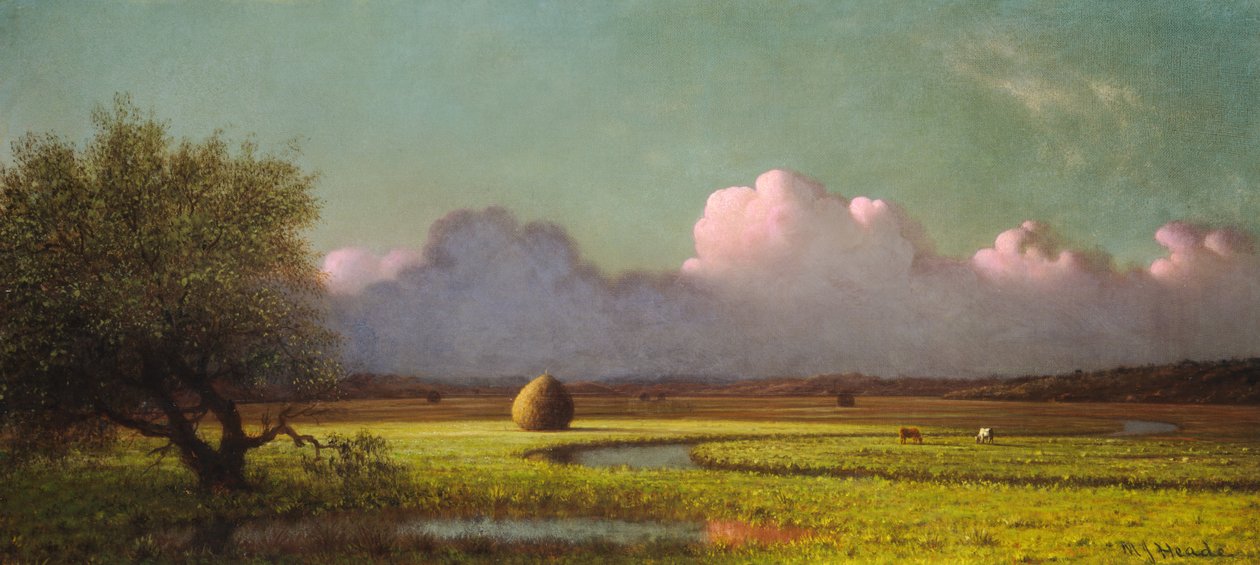 Sluneční světlo a stín: Newburské bažiny od Martin Johnson Heade
