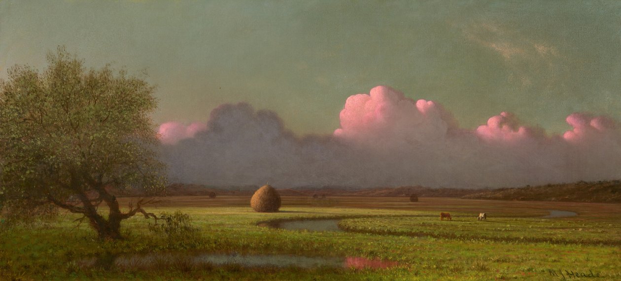 Sluneční světlo a stín: bažiny u Newbury od Martin Johnson Heade