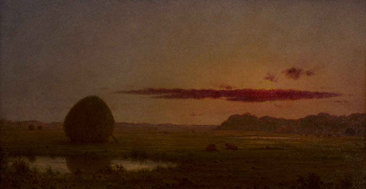 Západ slunce, louky u Newburyportu od Martin Johnson Heade