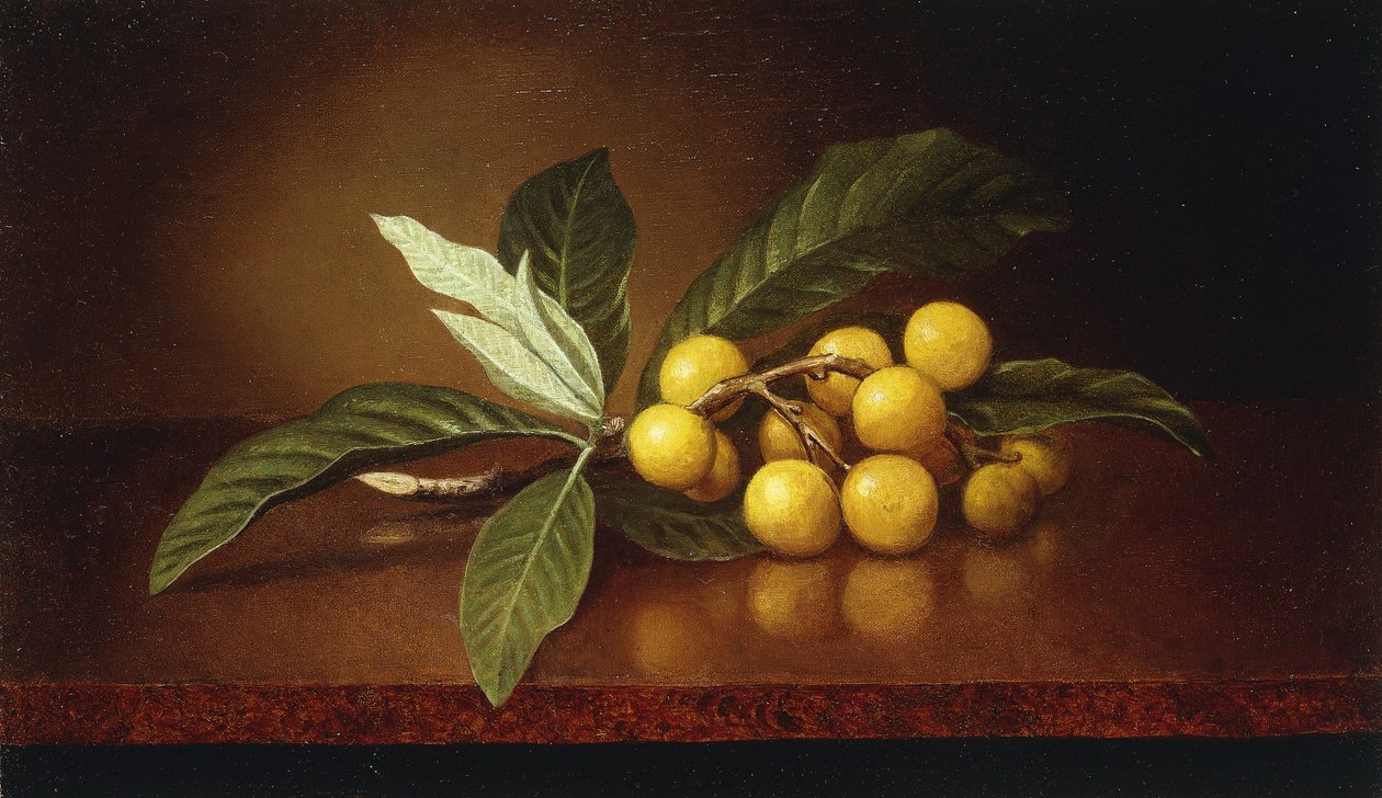 Tropické švestky, od Martin Johnson Heade