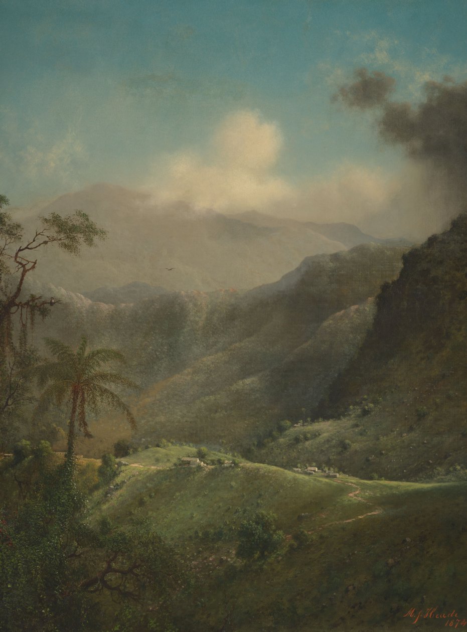 Tropická vysočina od Martin Johnson Heade