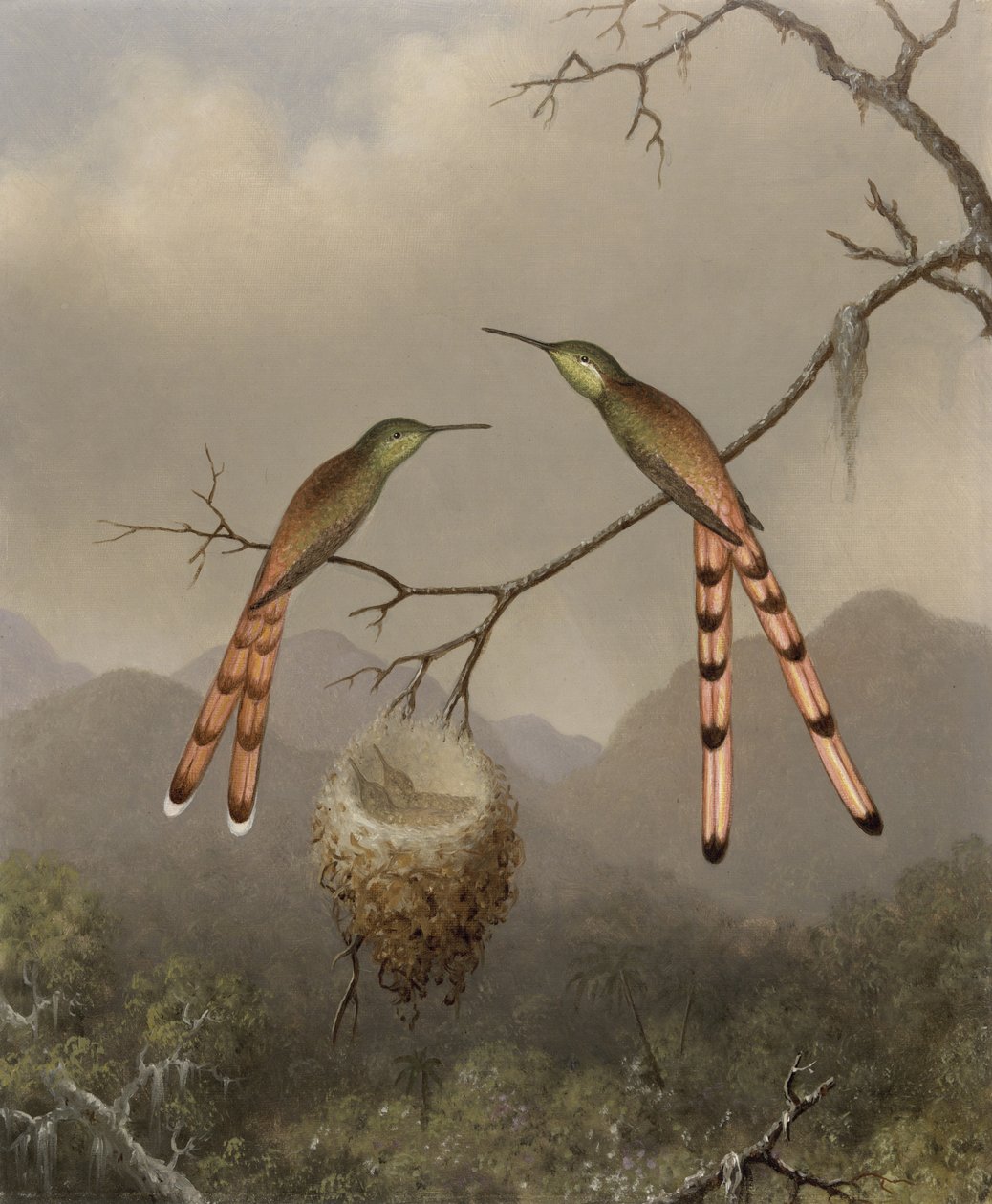 Dva kolibříci s mláďaty, c.1865 od Martin Johnson Heade