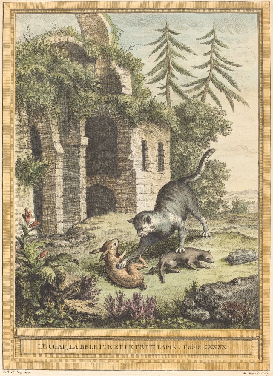 Le chat, la belette et le petit lapin (Kočka, lasička a králík) od Martin Marvie after Jean Baptiste Oudry