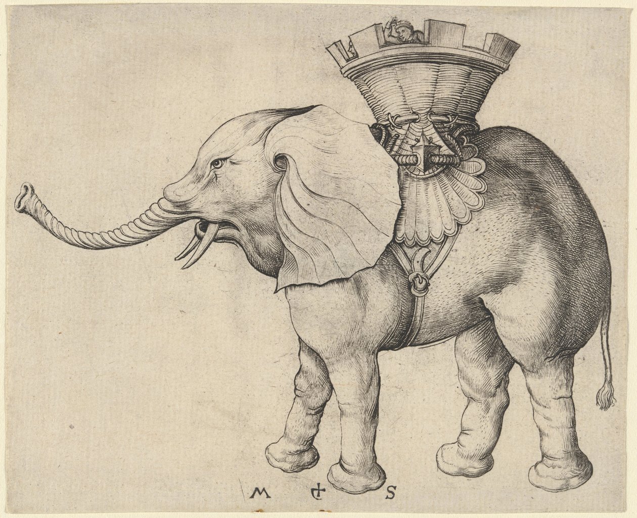 Slon od Martin Schongauer