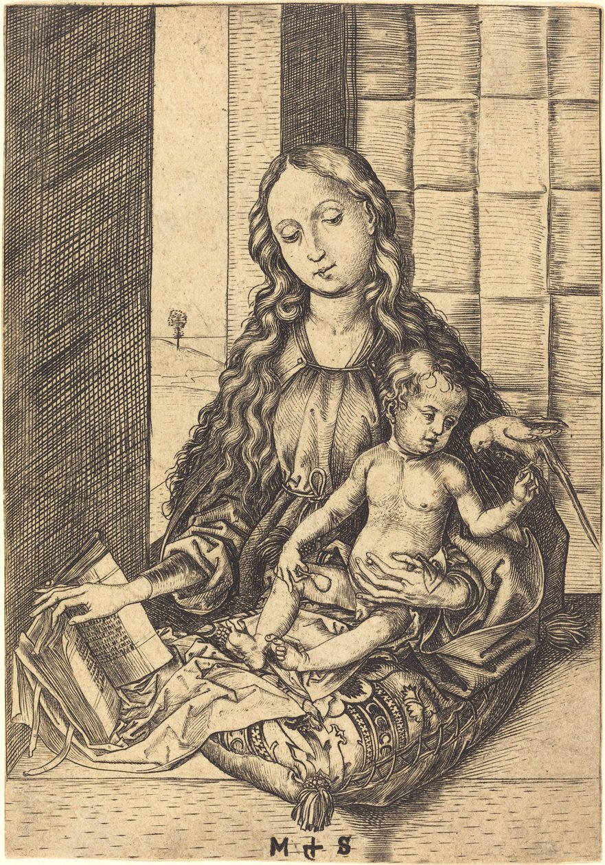Madonna s papouškem od Martin Schongauer