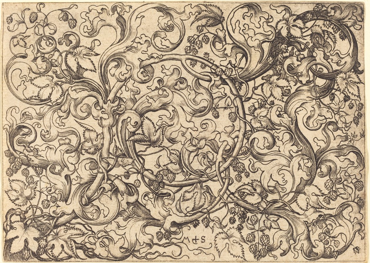 Ornament s chmelovou révou od Martin Schongauer