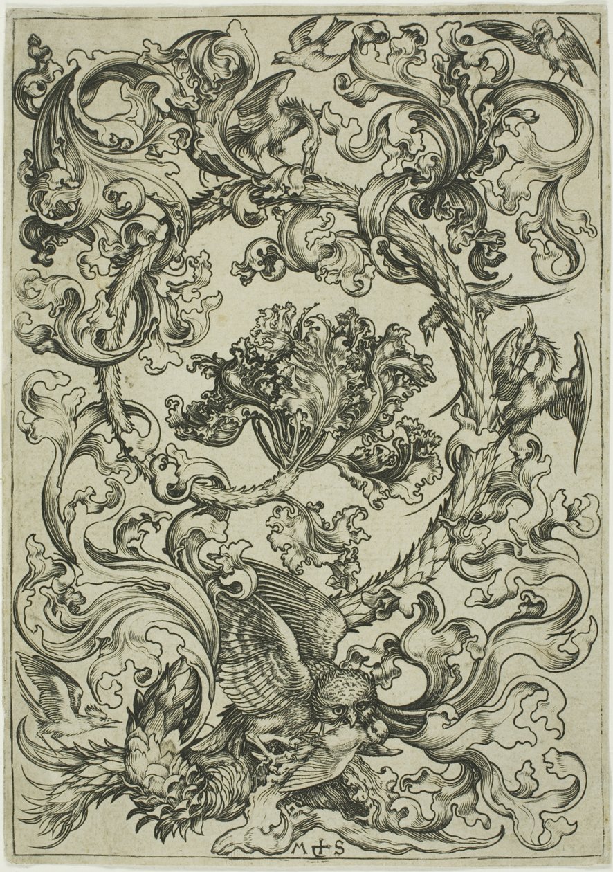 Ornament se sovou zesměšňovanou denními ptáky od Martin Schongauer