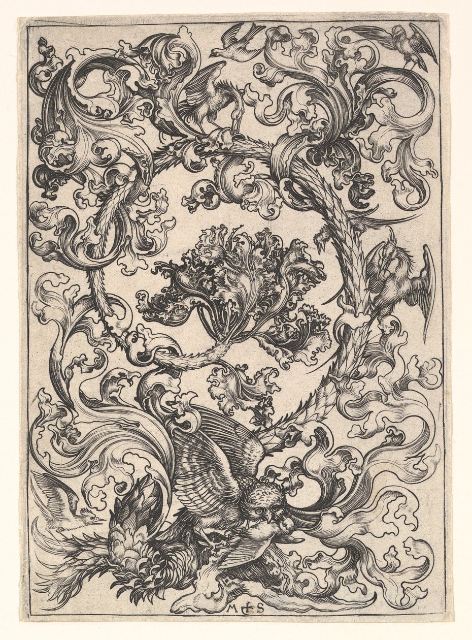 Ornament se sovou zesměšňovaný denními ptáky, ca. 1435-1491. od Martin Schongauer