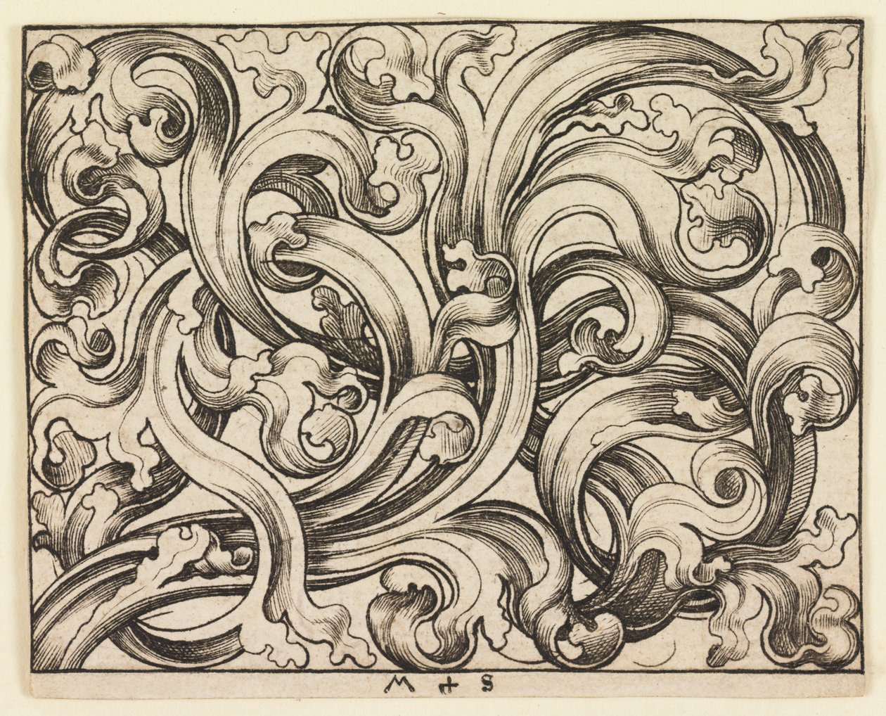 Horizontální výplň na světlém pozadí (horizontální ornament) od Martin Schongauer