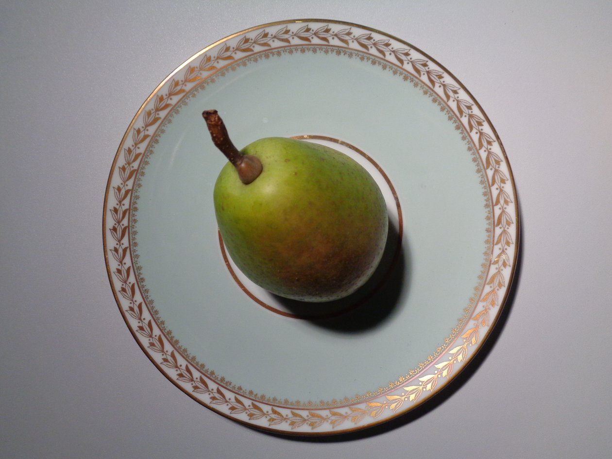 Lorenz Hutschenreuther porcelán s hruškou od Martina Konitzky