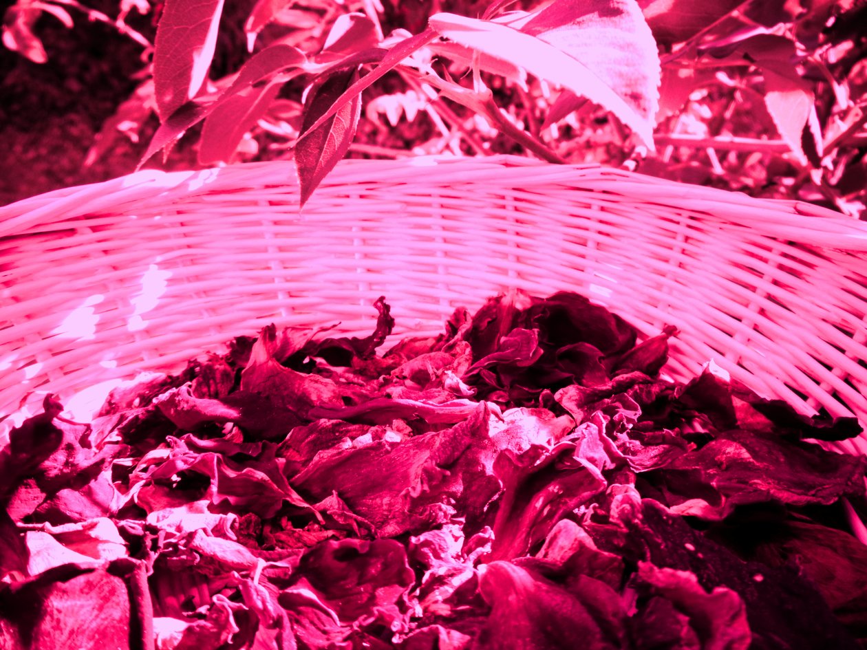 Okvětní lístky růží potpourri od Martina Konitzky