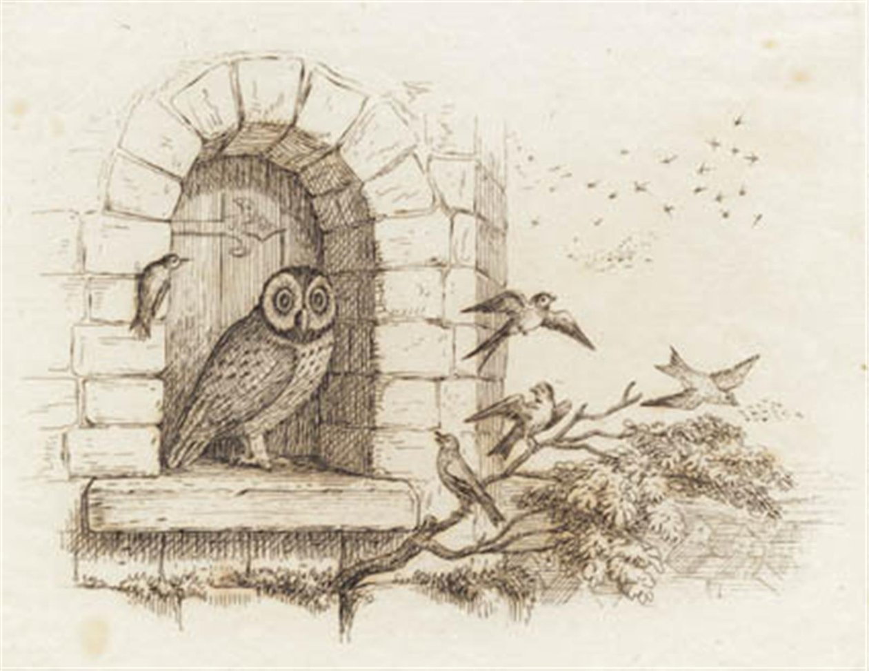 Ilustrace k "Půl sta bajek pro děti" od Hey od Martinus Rørbye