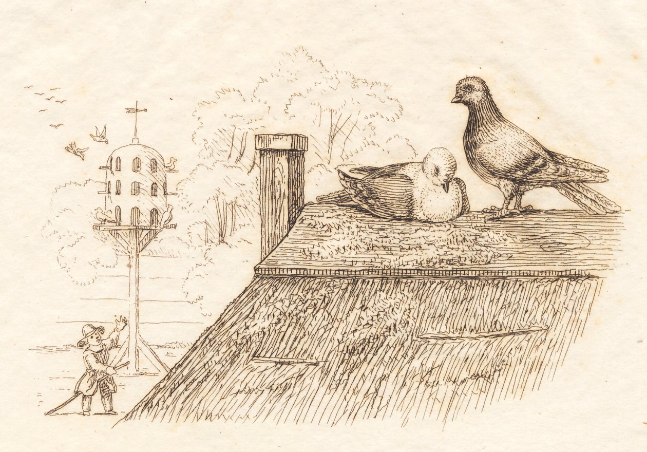 Ilustrace k "Půl sta bajek pro děti" od Hey od Martinus Rørbye