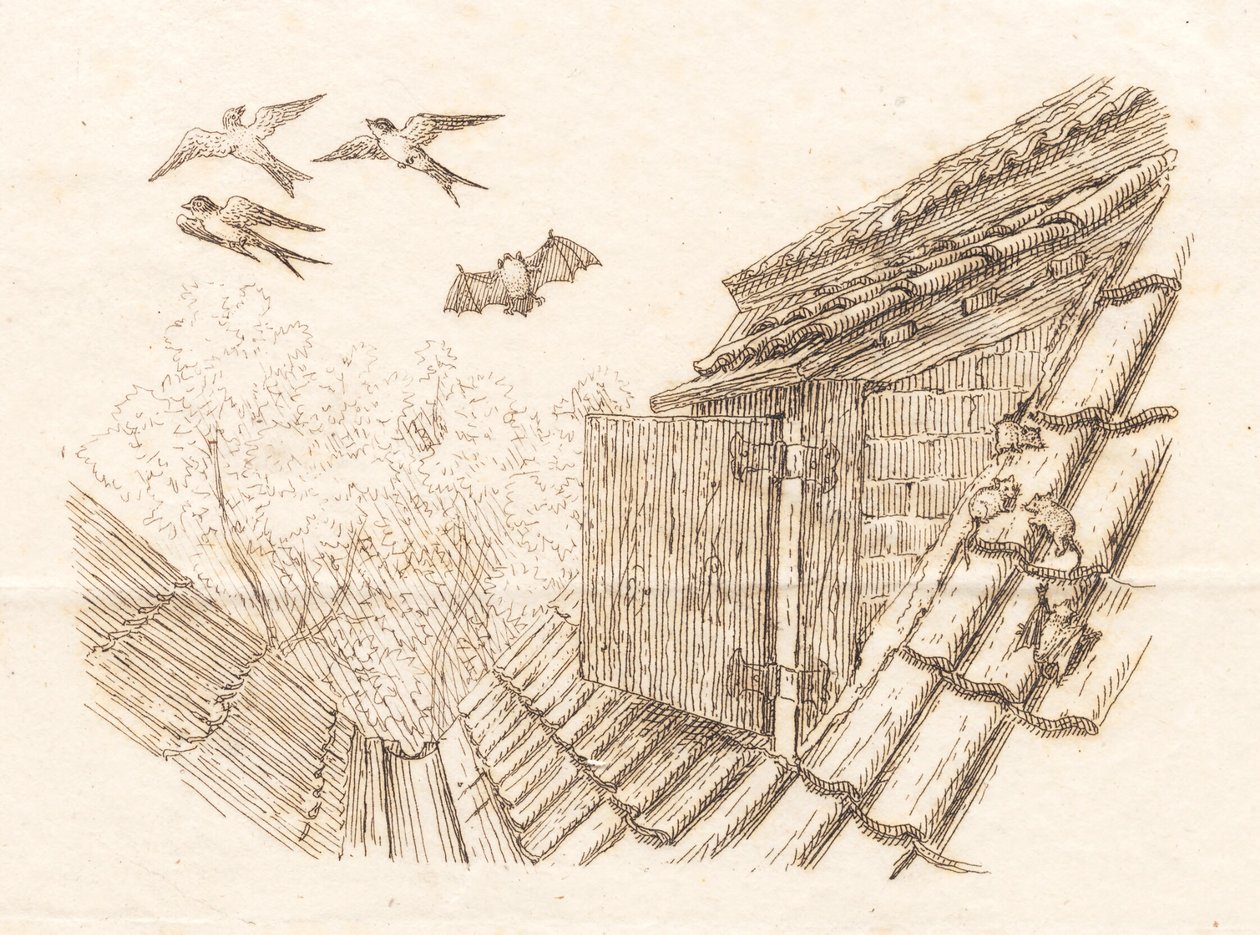 Ilustrace k "Půl sta bajek pro děti" od Hey od Martinus Rørbye