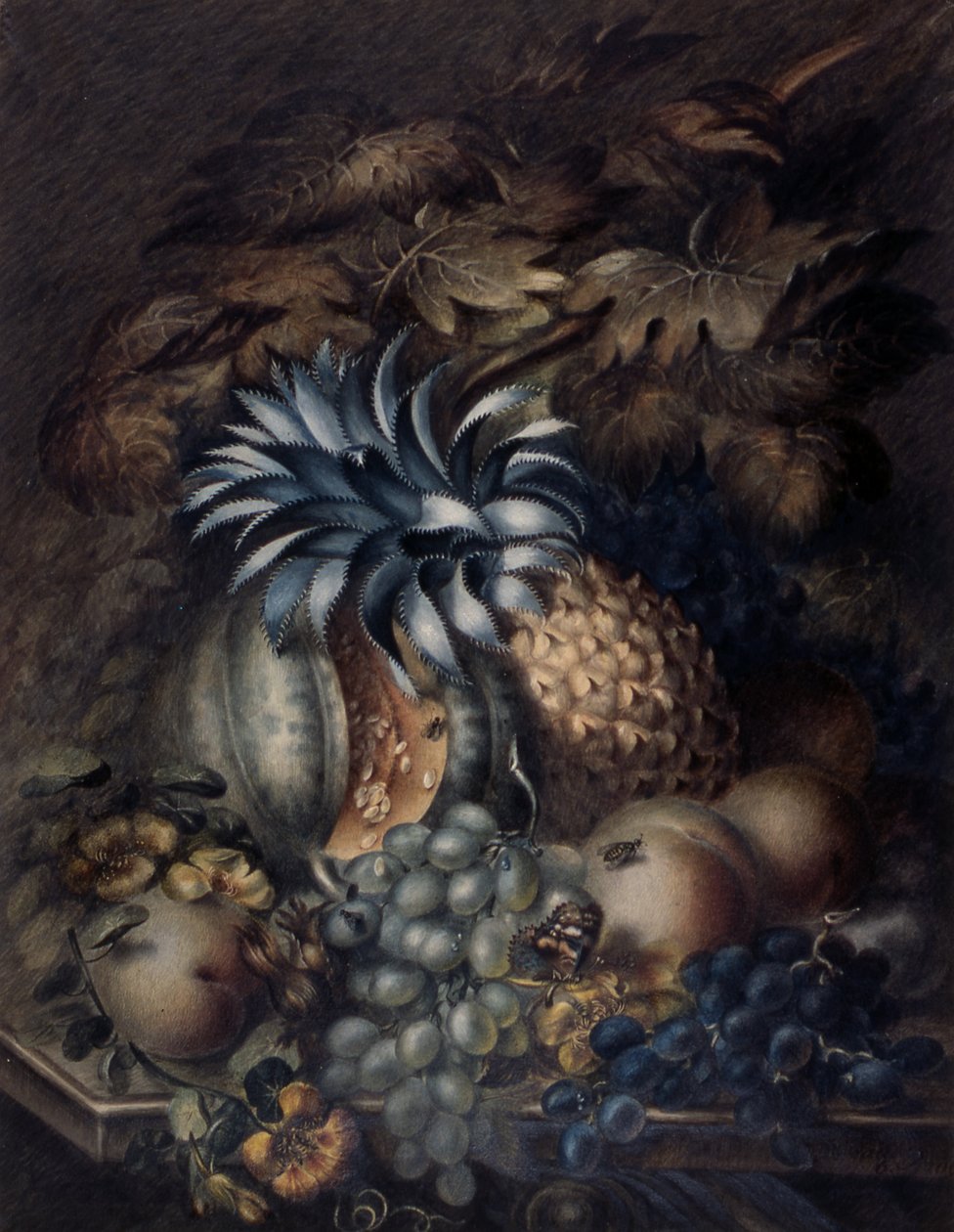 Studium ovoce (pastel) od Mary Bradley