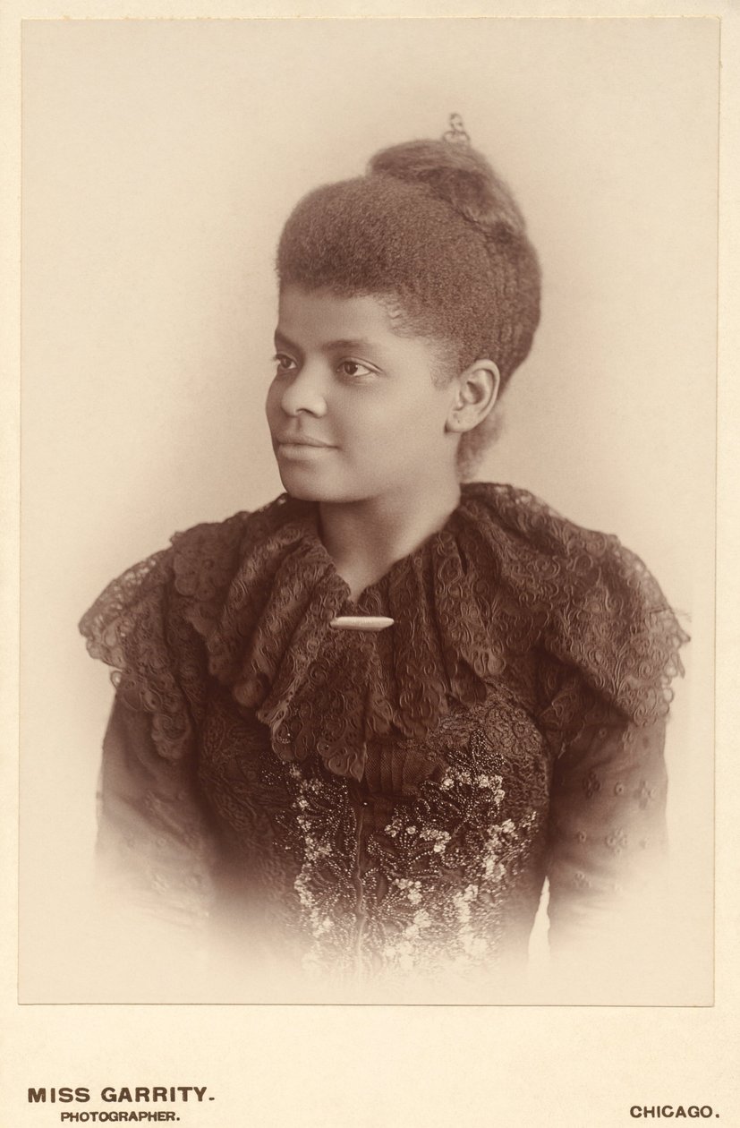 Ida B.Wells-Barnett (obnoveno) od Mary Garrity