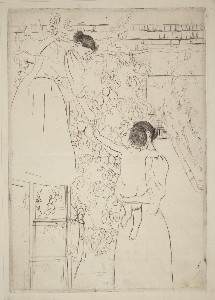 Sběr ovoce od Mary Cassatt