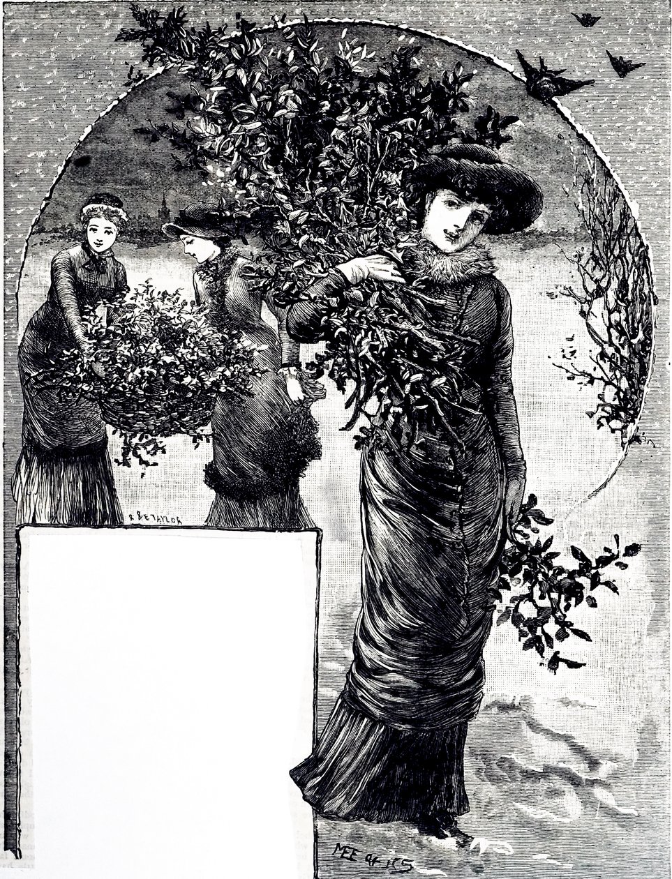 Rytina zobrazující sbírku cesmíny a jehličnatého stromu pro vánoční výzdobu. Ilustrovala Mary Ellen Edwards (1838-1934), anglická umělkyně a ilustrátorka dětských knih. od Mary Ellen Edwards