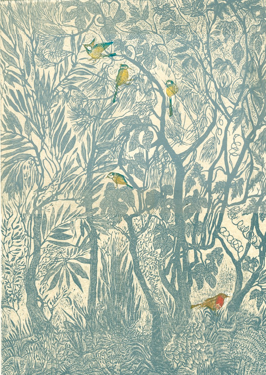 Pozorování ptáků z kuchyňského okna: robin, 2012 (vinylgravírování, reliéfní tisk) od Mary Kuper