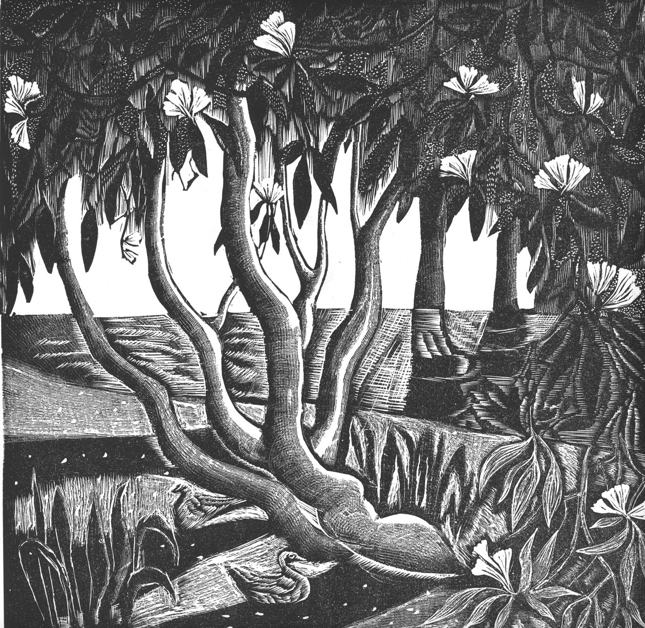 Rhododendrons, Holland Park, 2006 (vinylgravírování) od Mary Kuper