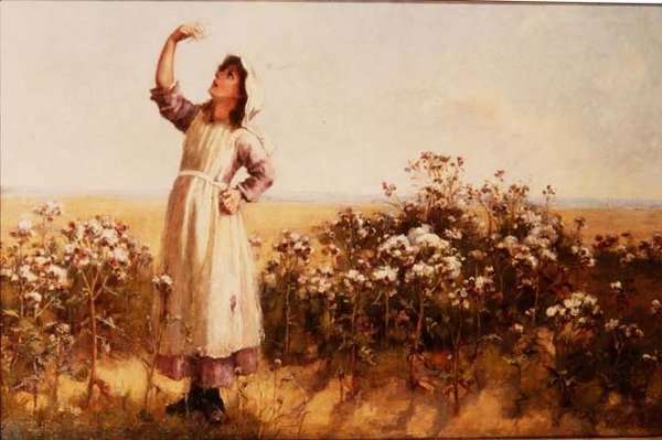 Thistledown od Mary Louise Breakell