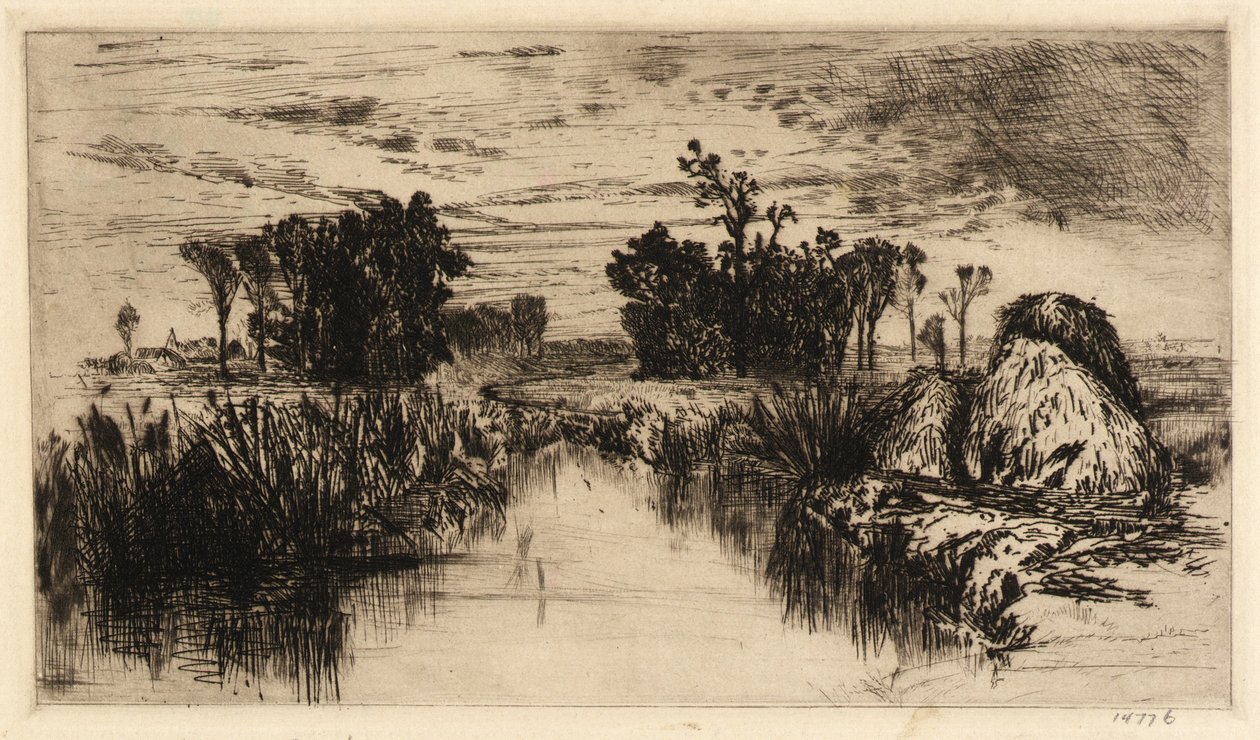 Cattails a stromy od Mary Nimmo Moran