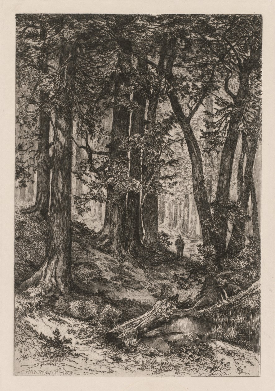 Interiér kalifornského lesa podle Thomase Morana Američan, 1837-1926,, 1888. od Mary Nimmo Moran