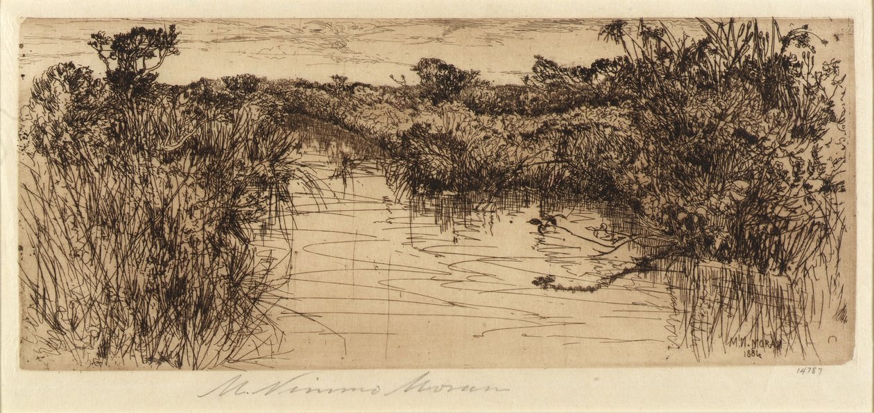 Meadowland od Mary Nimmo Moran