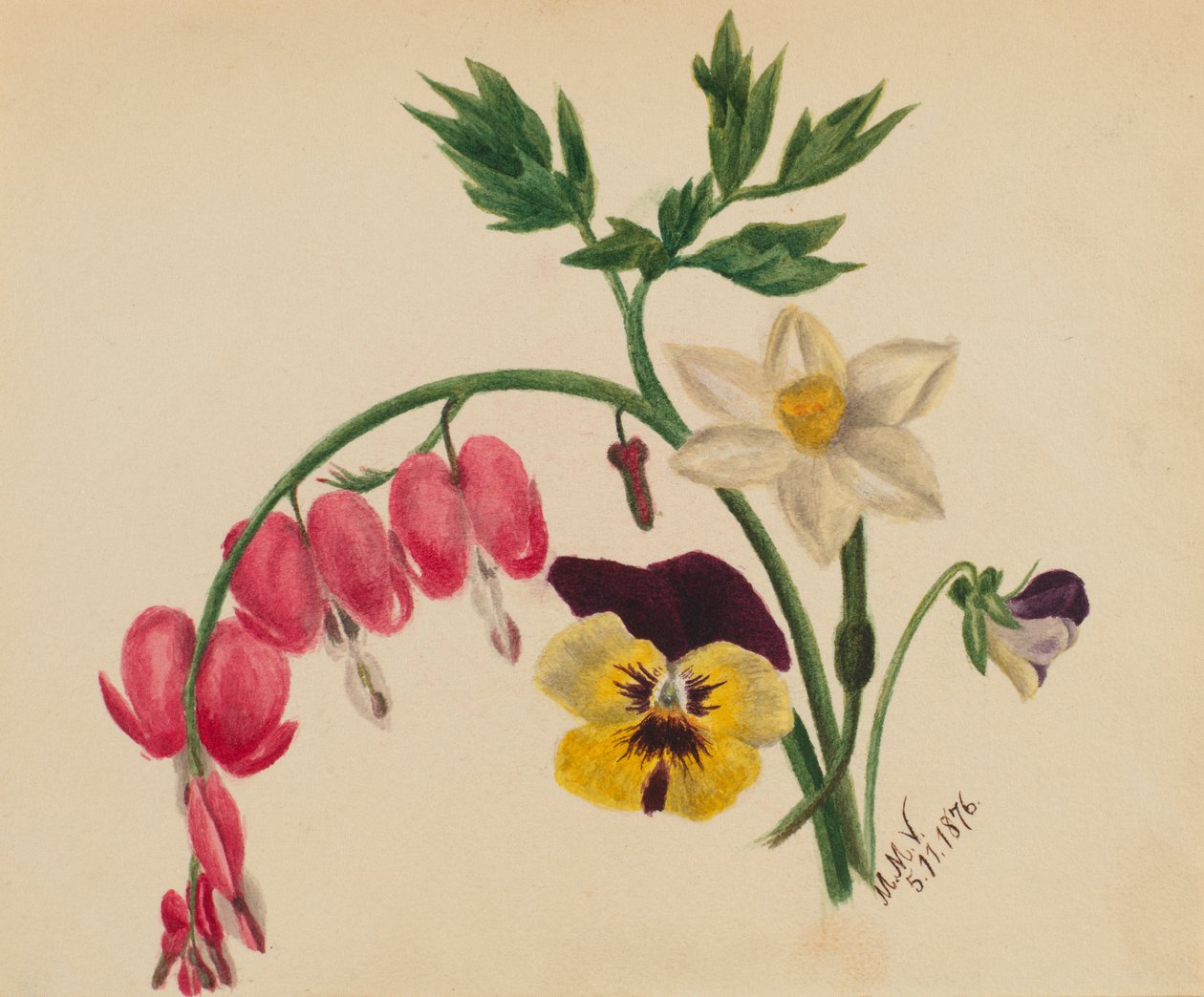 Bez názvu - Smíšené květiny, 1876. od Mary Vaux Walcott