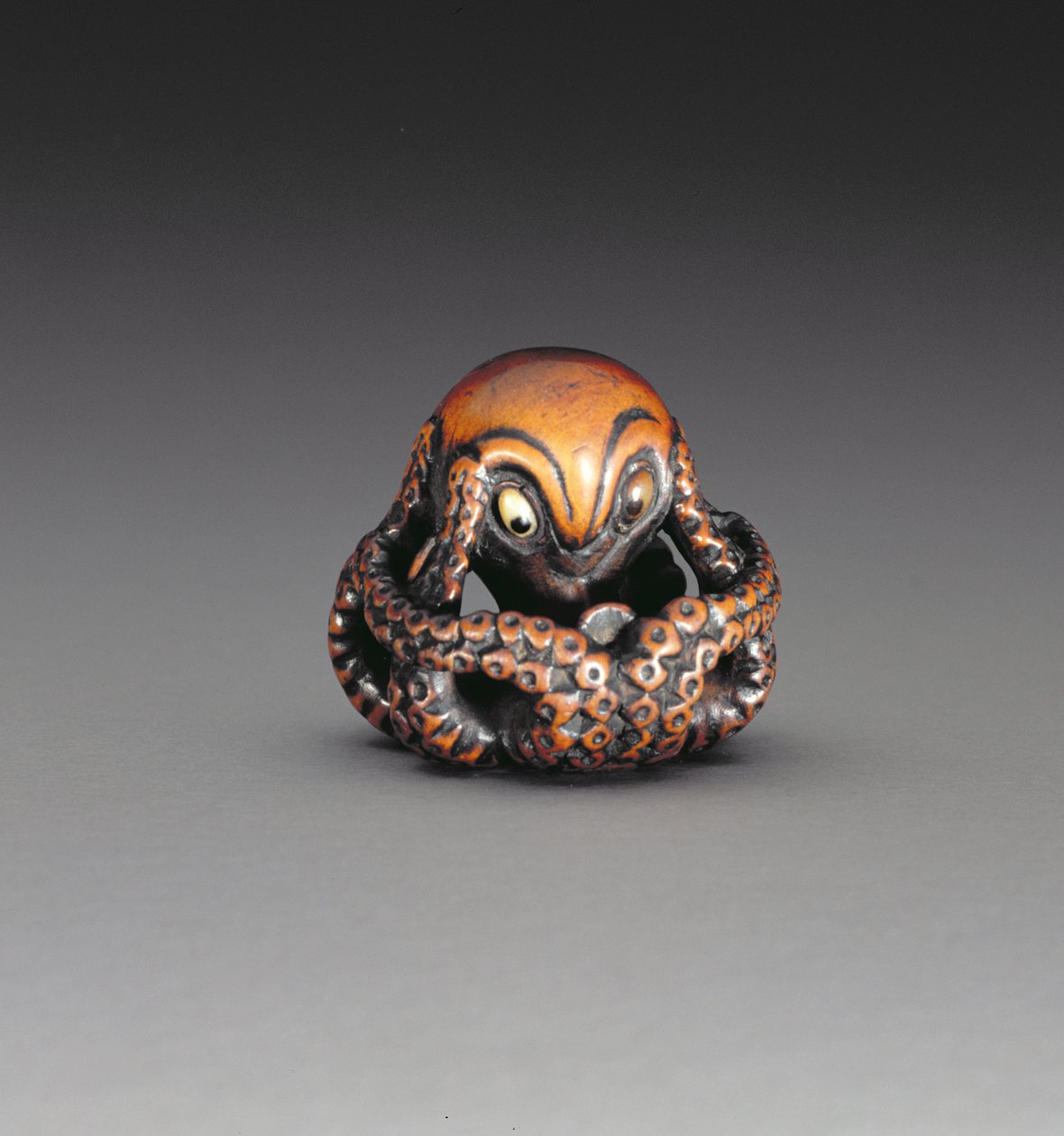 Netsuke zobrazující chobotnici, kolem 1760-70 (dřevo a vykládaný roh) (reverzní viz 193822) od Masanao