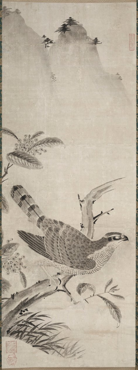 Hawk, polovina 1500. od Masayoshi Fujiwara