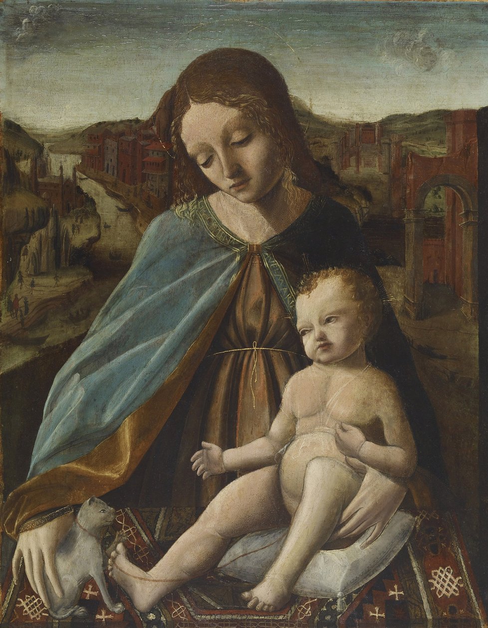 Madona a dítě s kočkou, 1485-95 od Master of the Pala Sforzesca