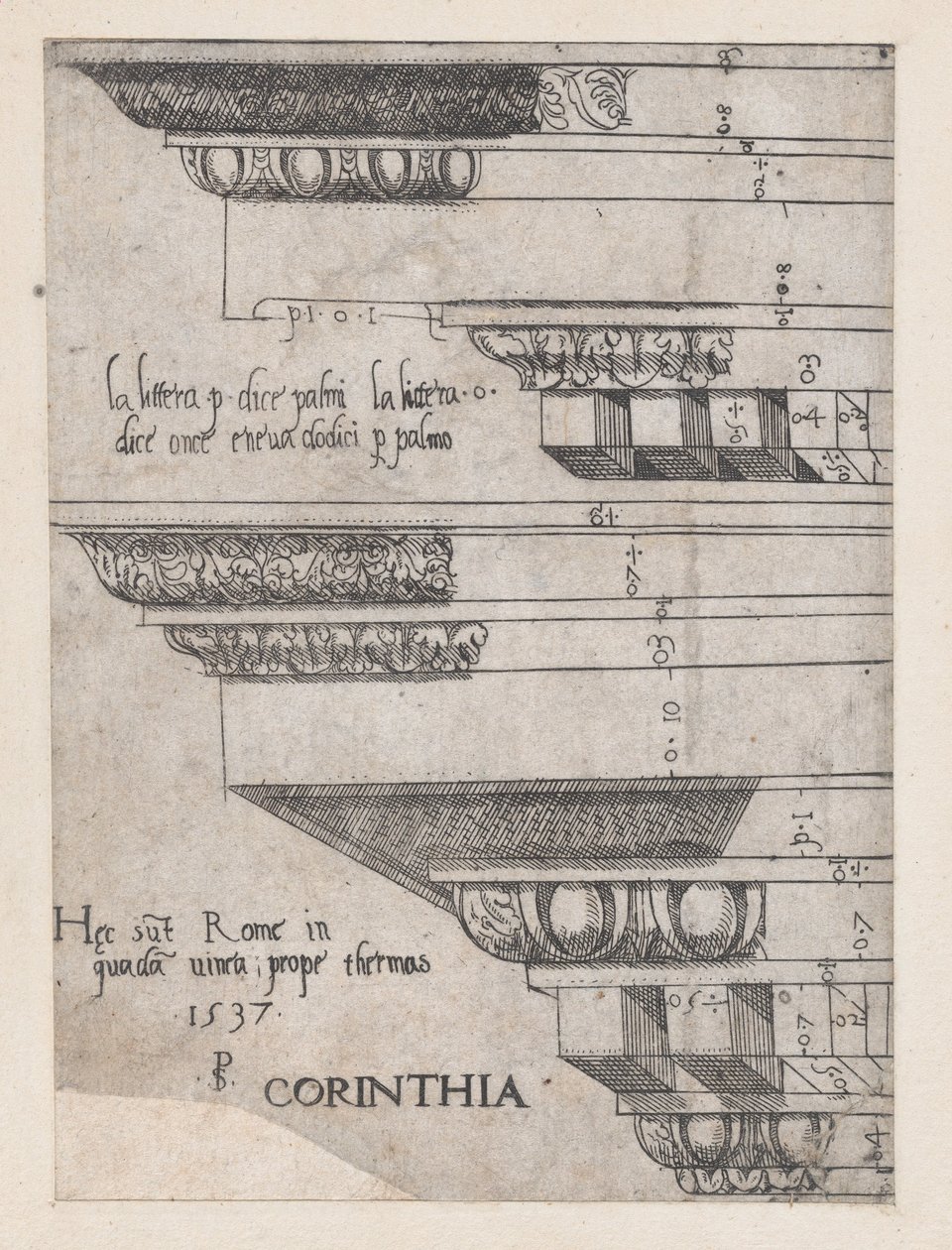 Zrcadlo římské velkoleposti: Korintské kladí, 1537., 1537 od Master PS
