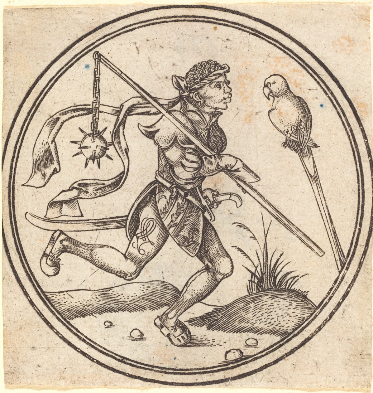 Jack of Parrots od Master PW of Cologne