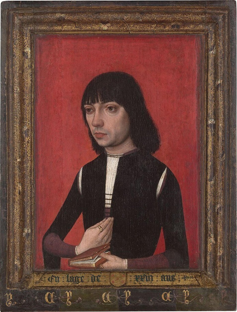Nizozemština: Portrét mladého muže z rodiny Fonseca Portrét mladého muže z rodiny Fonseca od Master of Portraits of Princes