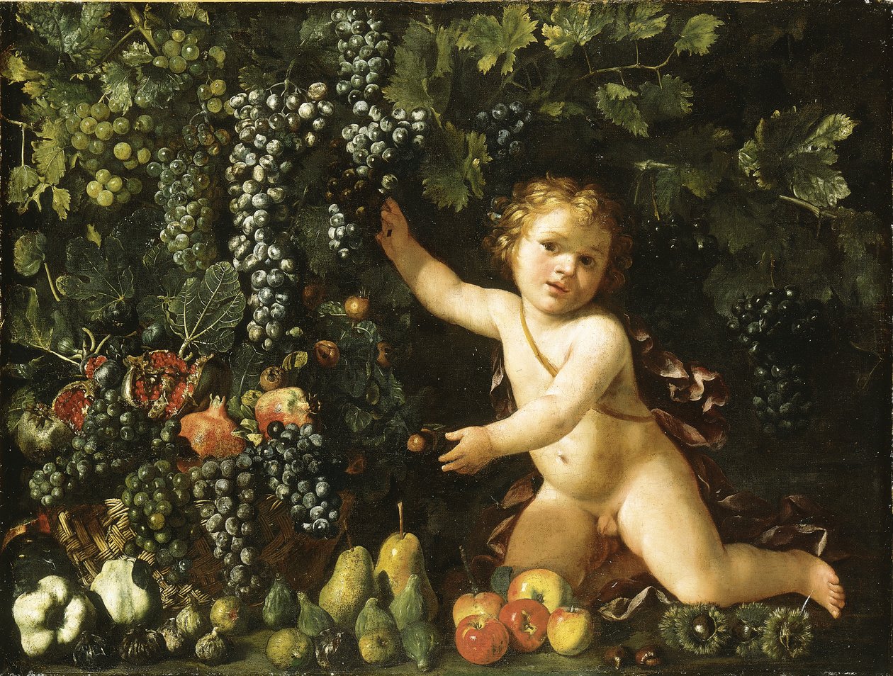 Hrozny na vinné révě, granátová jablka, hrozny a šípky v košíku, s fíky, jablky, hruškami a kaštany puttem od Master of the Acquavella Still Life