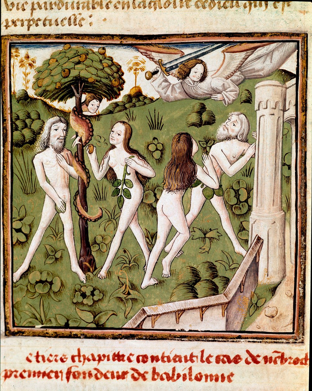 Adam a Eva sbírají obraněnou miniaturu ovoce Mistra šampiona dam (15. století) z rukopisu „Des hommes illustres““ od Giovanniho Boccaccia (Jean Boccaccio) (1313-1375). 15. století. Carpentras. Inguimbertinská knihovna od Master of the Champion des Dames