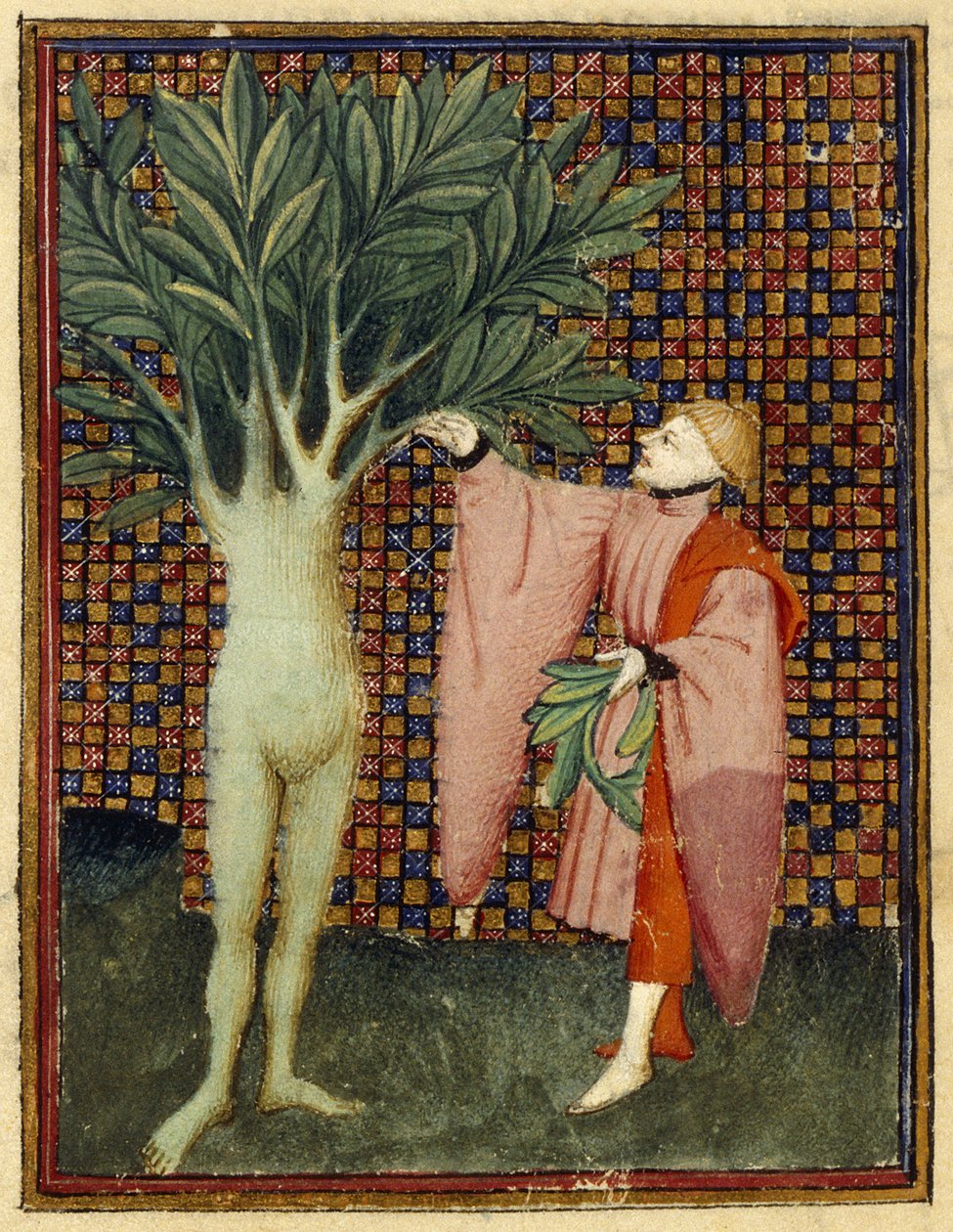 Apollo a Daphne od Master of the Cité des Dames